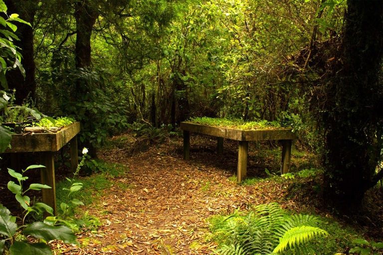 Photo of property in 828 Dover Road, Okato, New Plymouth, 4374