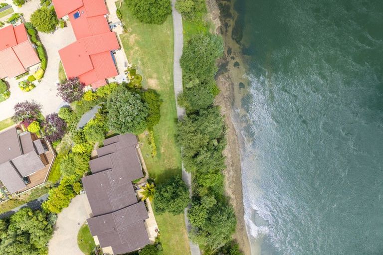 Photo of property in 42 Woodburn Avenue, Flagstaff, Hamilton, 3210