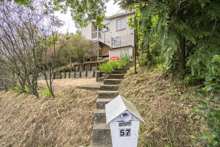 Photo of property in 57 Murphy Street, Toi Toi, Nelson, 7010