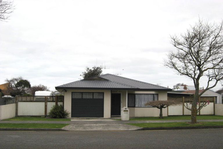 Photo of property in 103 Winchester Street, Levin, 5510