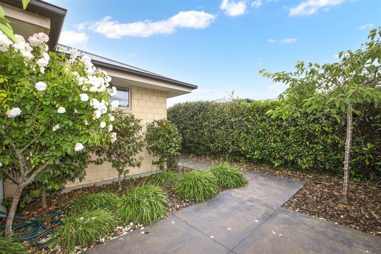 Photo of property in 25 Seddon Street, Sydenham, Christchurch, 8023