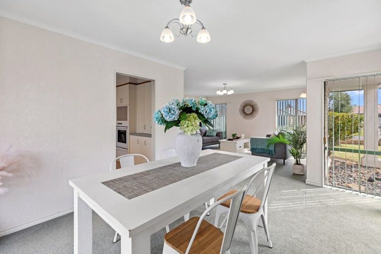 Photo of property in 9 Crichton Terrace, Mount Maunganui, 3116