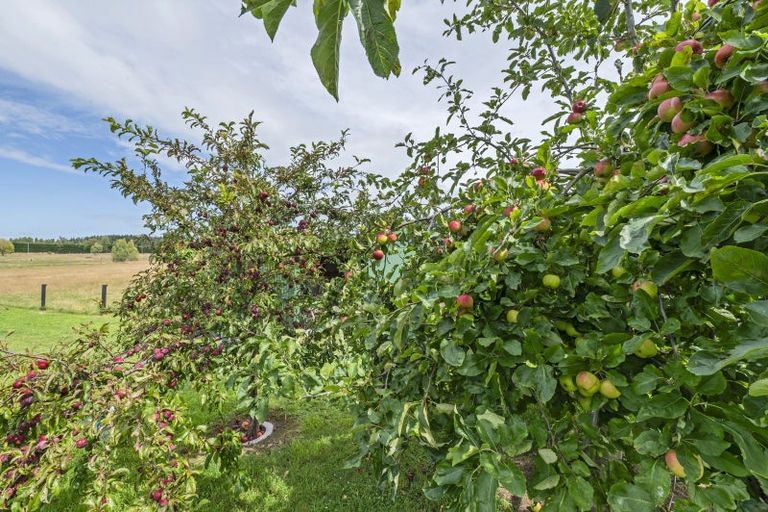 Photo of property in 249 Marshmans Road, Ashley, Rangiora, 7477