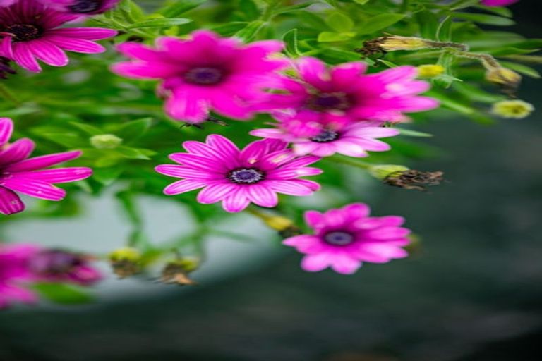 Photo of property in 24a Morris Road, Hillcrest, Hamilton, 3216