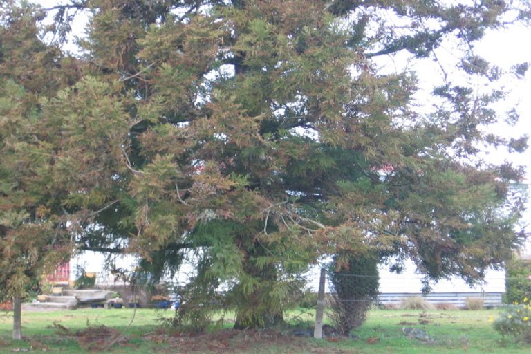 Photo of property in 96 Peacockes Road, Fitzroy, Hamilton, 3206