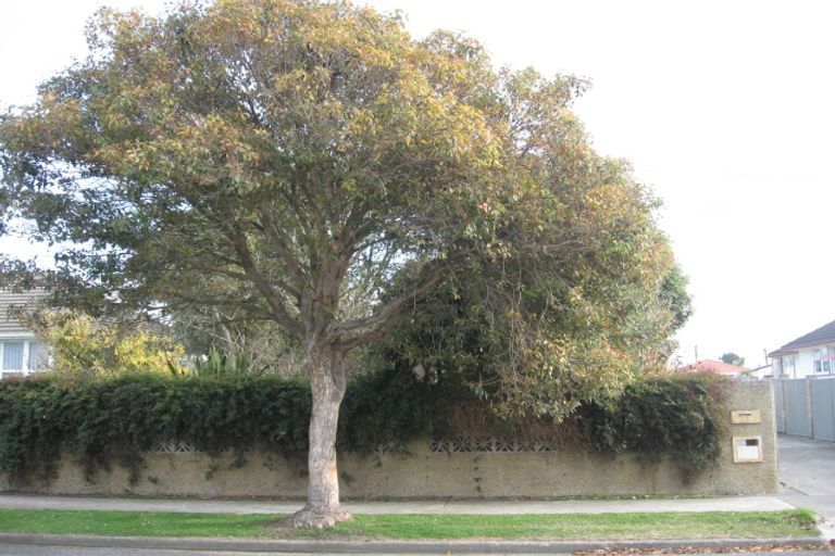 Photo of property in 21 Mason Avenue, Maraenui, Napier, 4110