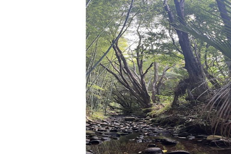 Photo of property in 368 Henderson Valley Road, Henderson Valley, Auckland, 0612