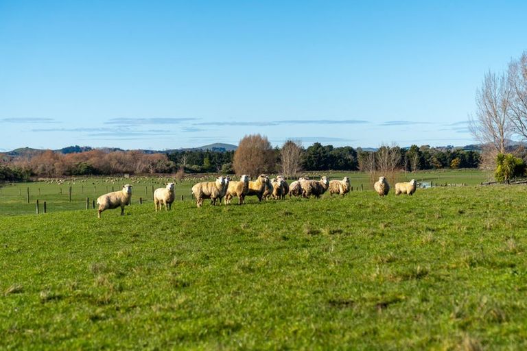 Photo of property in 64b Opaki Kaiparoro Road, Opaki, 5871