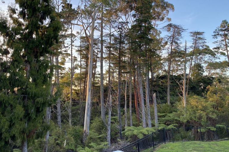 Photo of property in 22b Sunnyvale Road, Swanson, Auckland, 0614