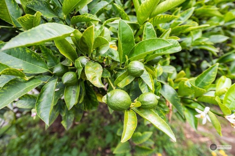 Photo of property in 2/95 Clouston Park Road, Clouston Park, Upper Hutt, 5018