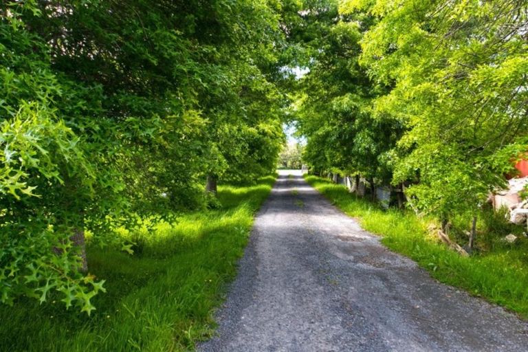 Photo of property in 202 Pine Valley Road, Dairy Flat, Silverdale, 0992