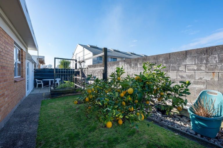 Photo of property in 6c Seddon Street, Glenholme, Rotorua, 3010