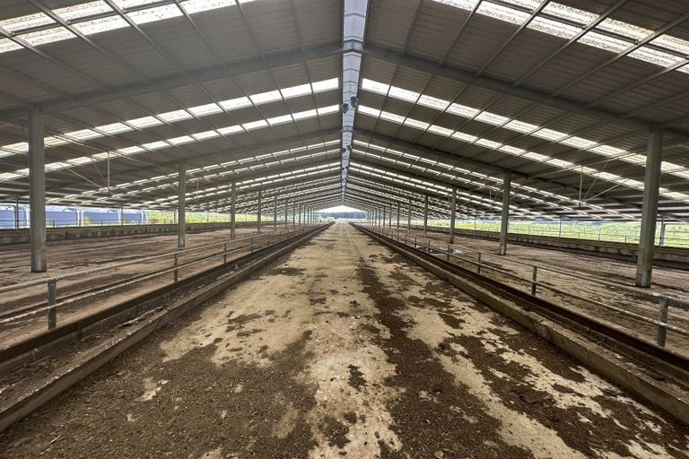 Photo of property in 44 Royal St Annes Drive, Te Kamo, 0112