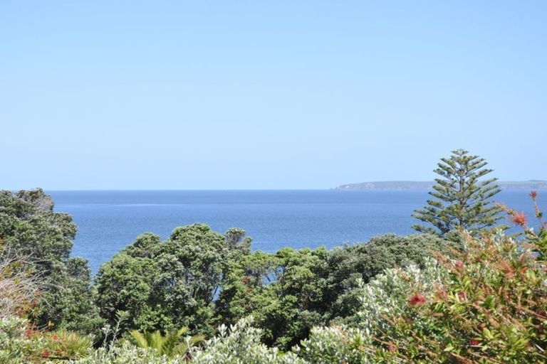 Photo of property in 10 Penguin Street, Leigh, 0985