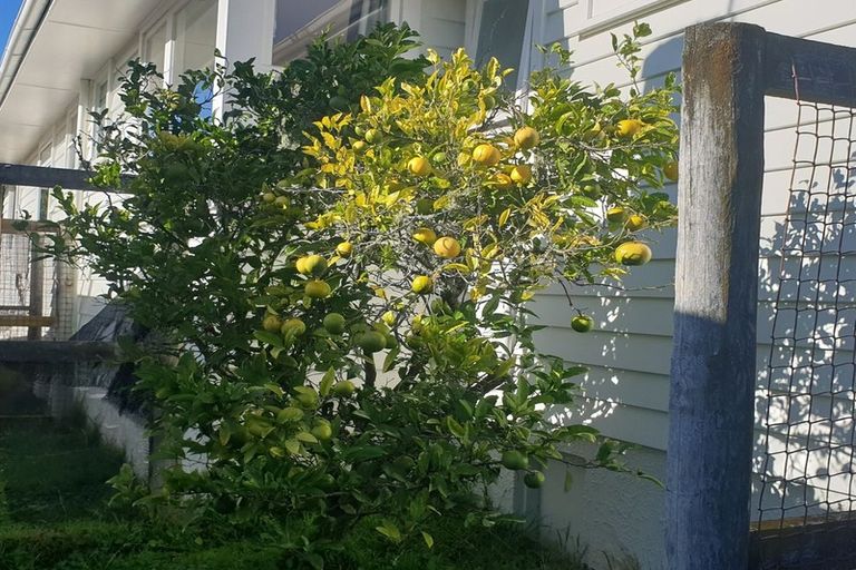 Photo of property in 39 Redwood Avenue, Tawa, Wellington, 5028