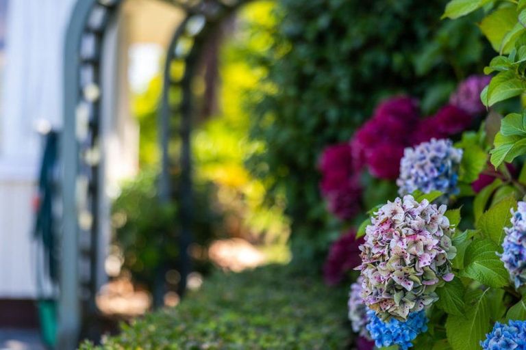 Photo of property in 7 Acton Place, Saint Johns Hill, Whanganui, 4500