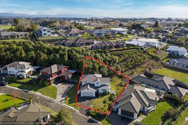 Photo of property in 6 Orchard Way, Bethlehem, Tauranga, 3110