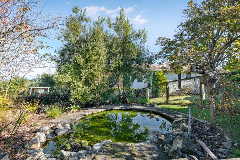 Photo of property in 64 Manuka Street, Lansdowne, Masterton, 5810