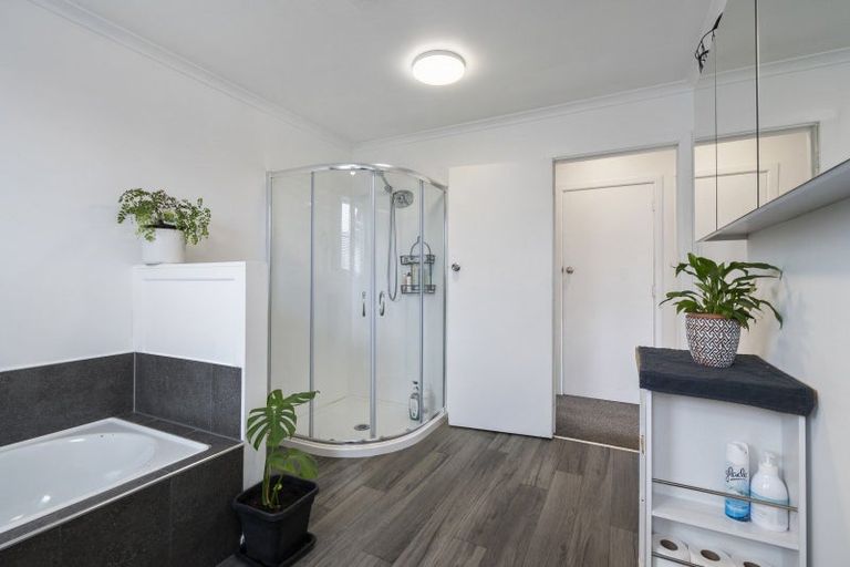 Photo of property in 19 Shamrock Street, Levin, 5510