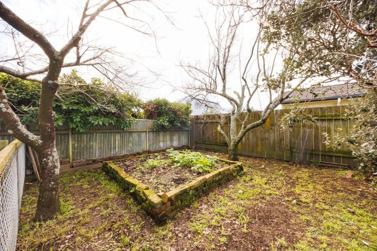 Photo of property in 17 Manson Street, Terrace End, Palmerston North, 4410