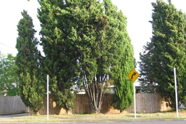 Photo of property in 398 West Coast Road, Glen Eden, Auckland, 0602