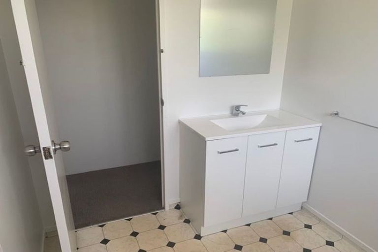 Photo of property in 29 Barneys Farm Road, Clendon Park, Auckland, 2103