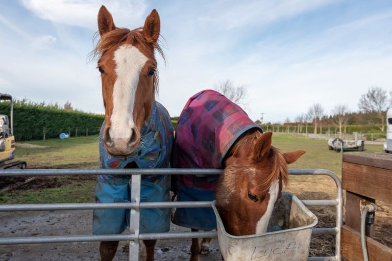 Photo of property in 270 Barkers Road, Loburn, Rangiora, 7472