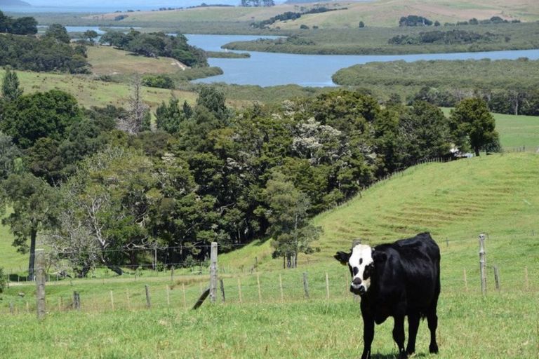 Photo of property in 133 Run Road, Wharehine, Wellsford, 0977