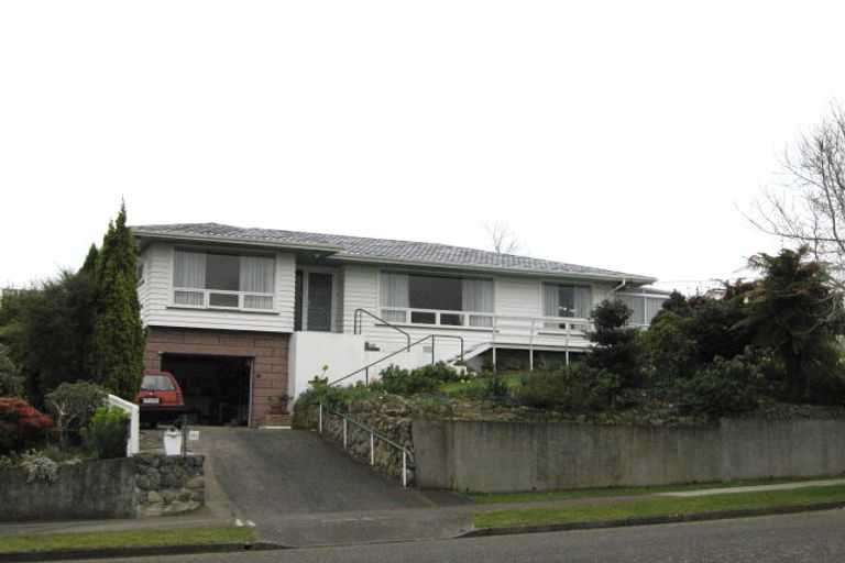Photo of property in 113 Winchester Street, Levin, 5510