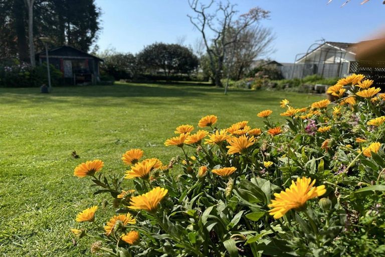 Photo of property in 33 Elizabeth Street, Matamata, 3400