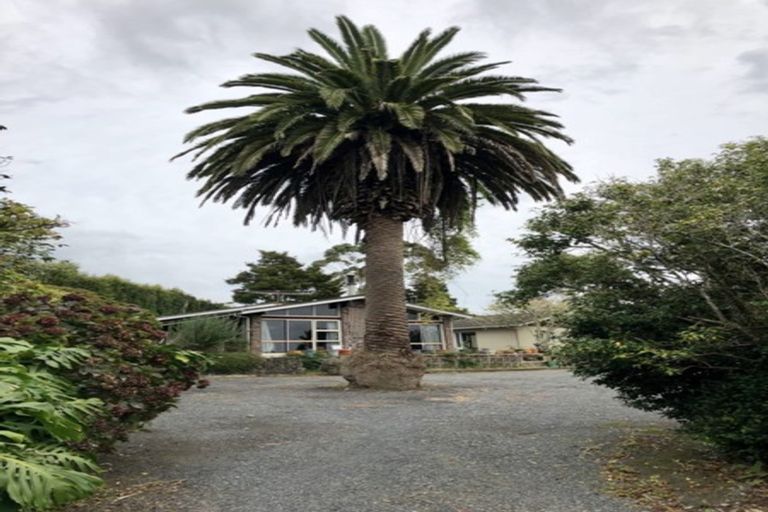 Photo of property in 53 Wiroa Road, Kerikeri, 0293