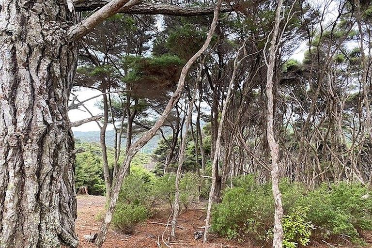 Photo of property in 19 Woods Ridge Road, Kawau Island, 0920