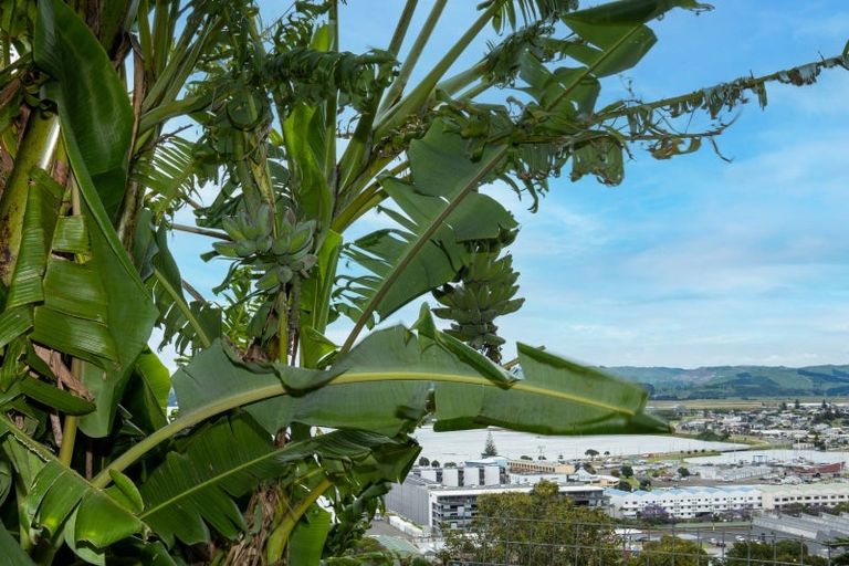 Photo of property in 35 Goldsmith Road, Hospital Hill, Napier, 4110