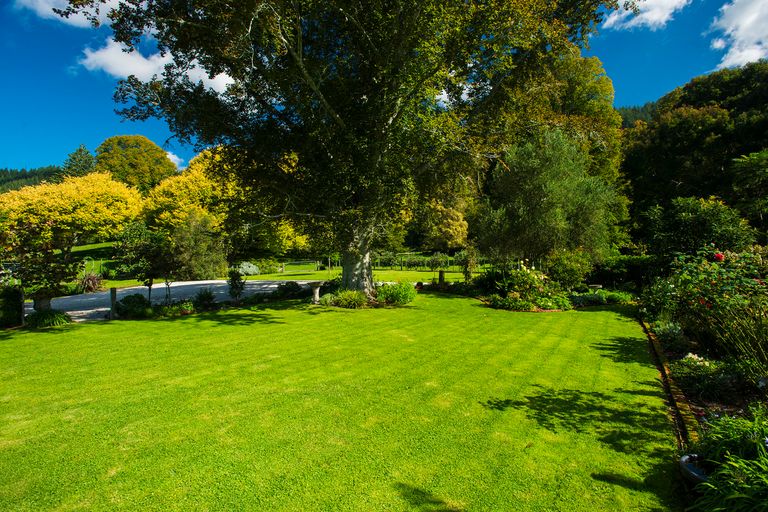 Photo of property in 596 Riverside Road, Matokitoki, Gisborne, 4071