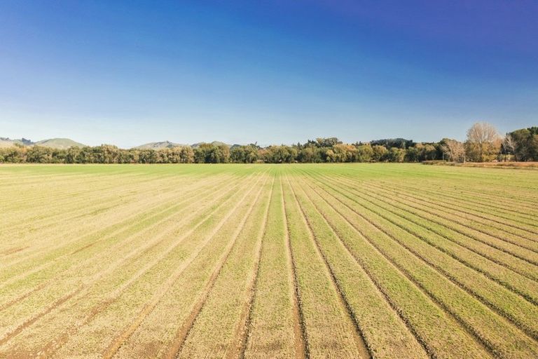 Photo of property in 406 Whatatutu Road, Te Karaka, 4094