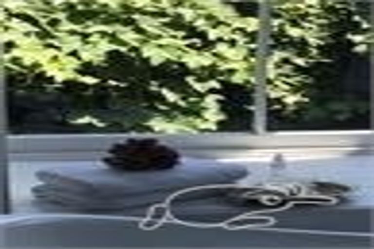 Photo of property in 10 Bryce Street, Cambridge, 3434