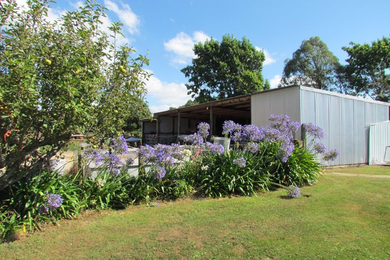 Photo of property in 182 Pukemiku Road, Mangamutu, Pahiatua, 4983