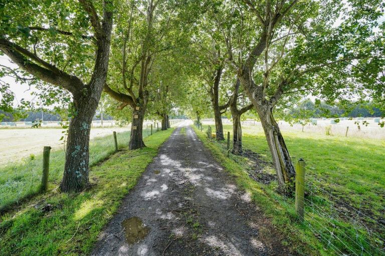 Photo of property in 243 Curran Road, Otatara, Invercargill, 9879