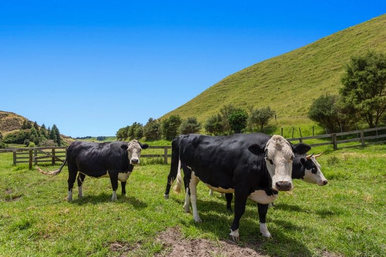 Photo of property in 47a Awanuiarangi Road, Pikowai, Whakatane, 3194