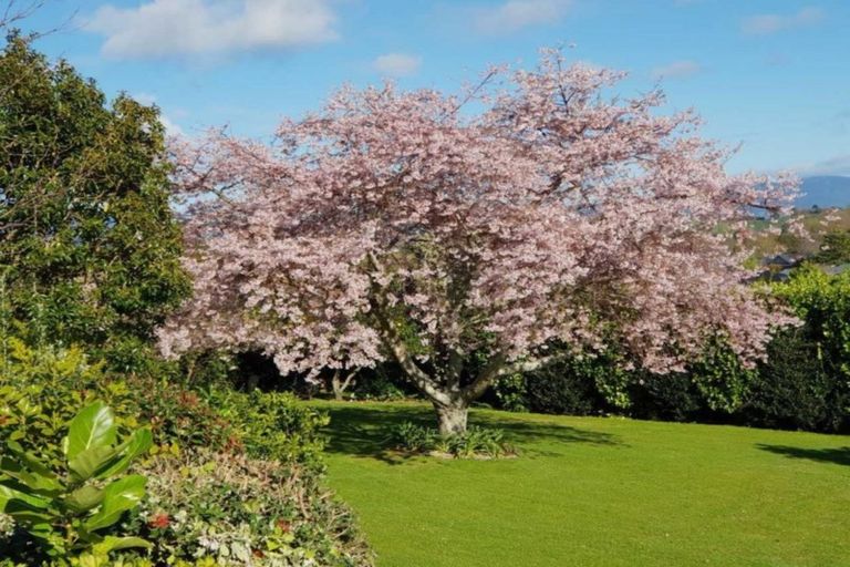 Photo of property in 191a Omokoroa Road, Omokoroa, 3114
