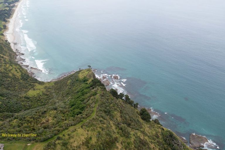 Photo of property in 55 M Greenwood Road, Leigh, 0972