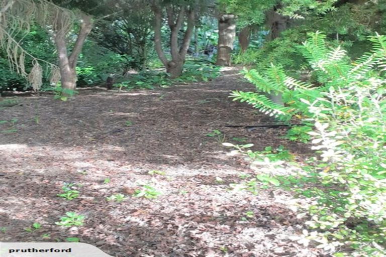 Photo of property in 464 Masterton-castlepoint Road, Te Ore Ore, Masterton, 5886