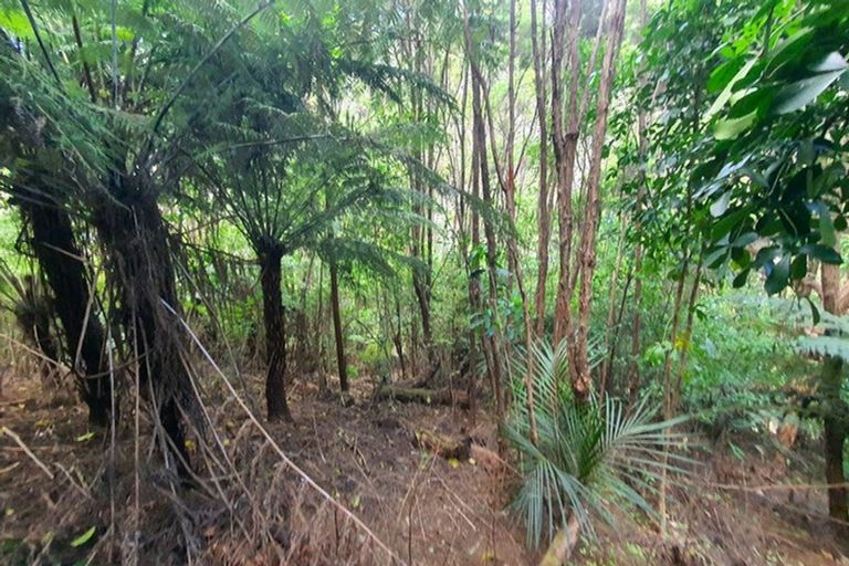 Photo of property in 34 Schoolhouse Bay Road, Kawau Island, 0920