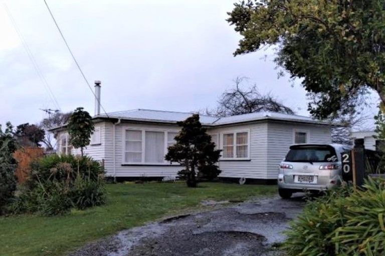 Photo of property in 20 Elizabeth Street, Levin, 5510