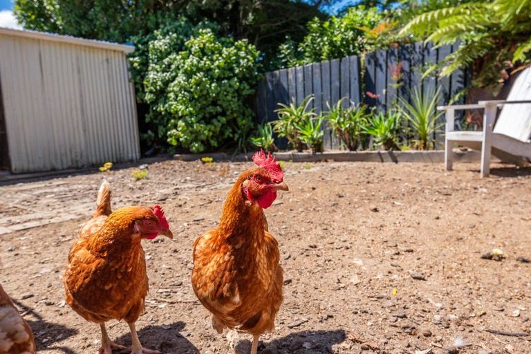 Photo of property in 2 Bowen Street, Levin, 5510