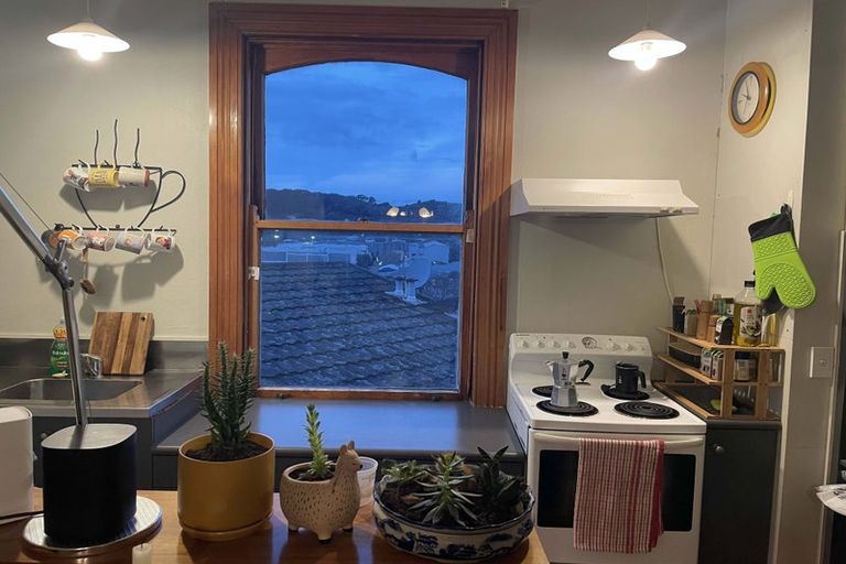 Photo of property in 55 Hankey Street, Mount Cook, Wellington, 6011