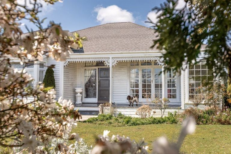 Photo of property in 143 Russell Street, Westport, 7825