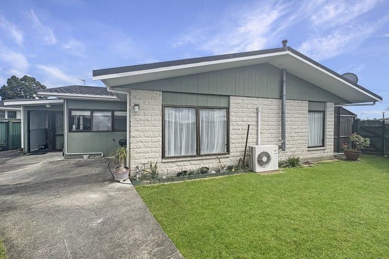 Photo of property in 58 Salisbury Street, Levin, 5510