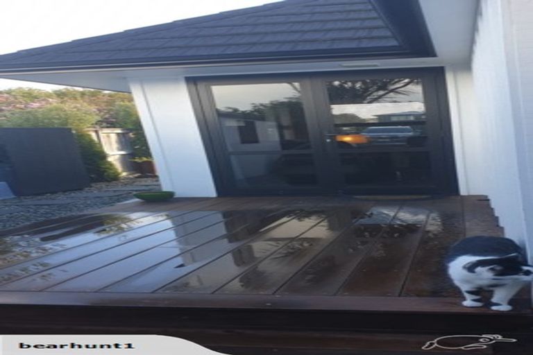 Photo of property in 56a Queenwood Avenue, Queenwood, Hamilton, 3210