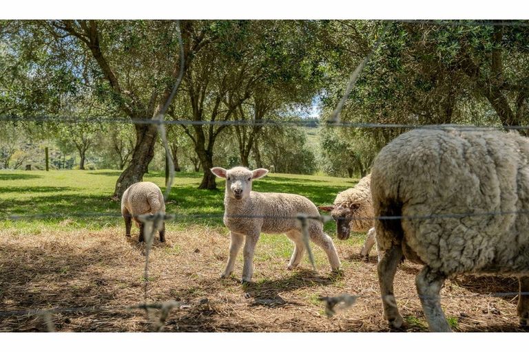 Photo of property in 11 Parkland Drive, Pakaraka, Kaikohe, 0472